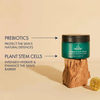 Aromatherapy Associates Intensive Rich Cream