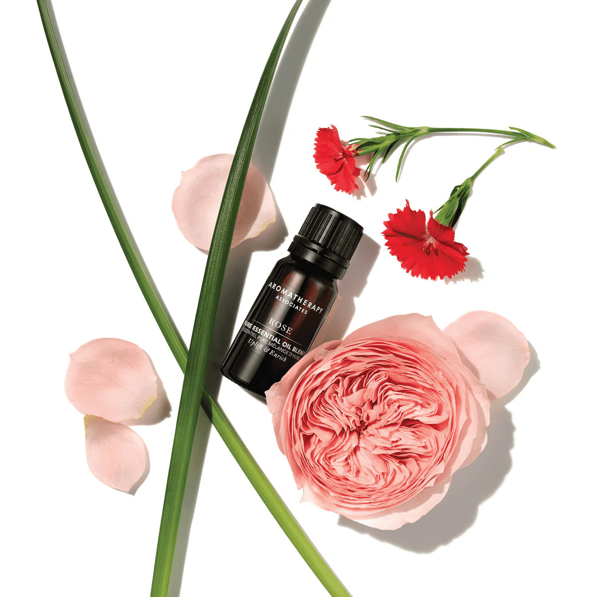 Aromatherapy Associates Rose Pure Essential Oil Blend